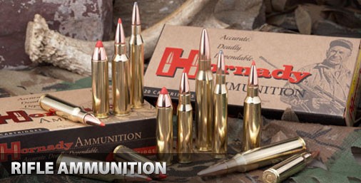 20, Hornady, .270 Win