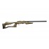 CZ 455 evolution 