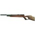 Weihrauch HW100 